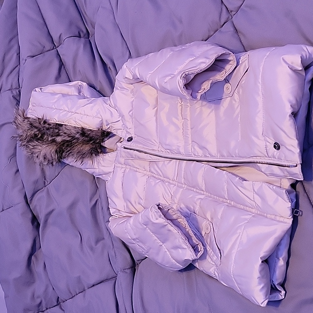 Toddler Baby Gap Hooted Puffer Coat